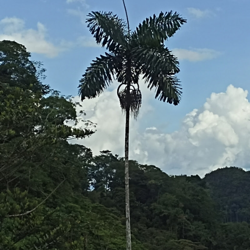 mecánica de motos Collazos