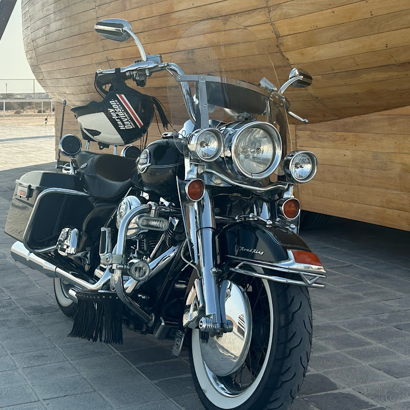 Harley Davidson friends