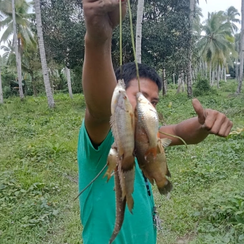 Buhay Probinsya TV.