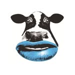 Bluemouth Interactive 🎮