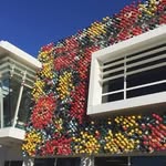 MTG Hawke's Bay