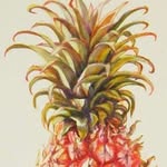 Pineapple Co.