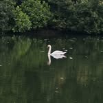 Travel + Life in Singapore