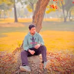 Umer Amir