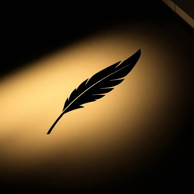 Black Feather 