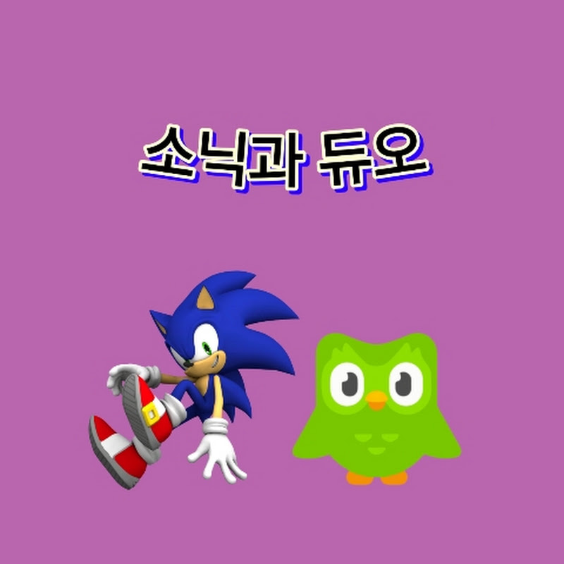 소닉과 듀오