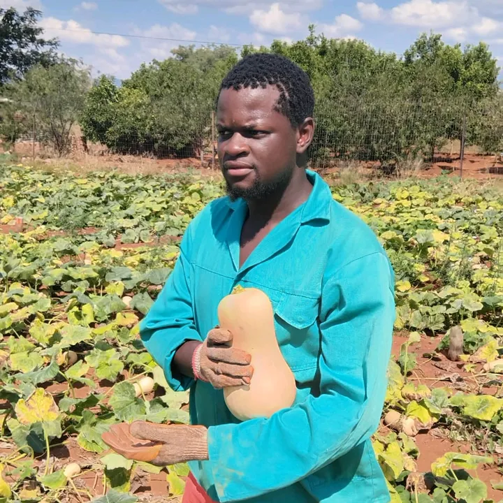 MAROTHI THE FARMER👨‍🌾🌾🚜🤌