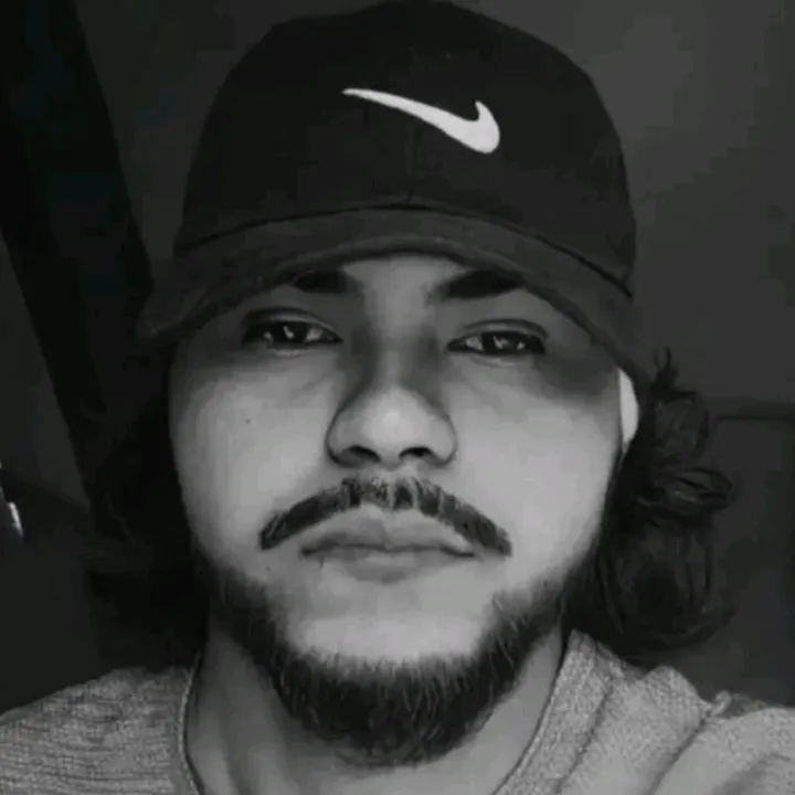 P.A 🛡️