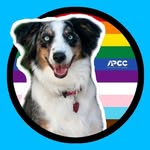 Alicia Pet Care Center