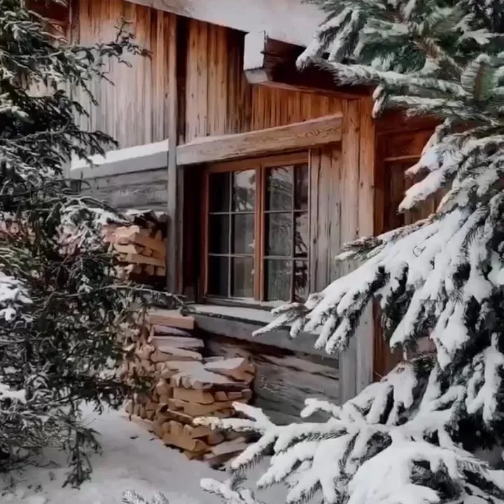 studio_cozy
