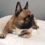 Vale Callaghan Van Boranka