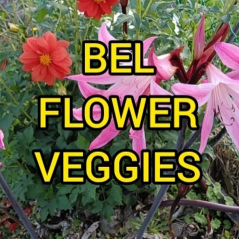 Bel Flower Veggies