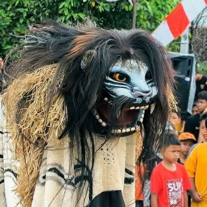Zona Barongan 