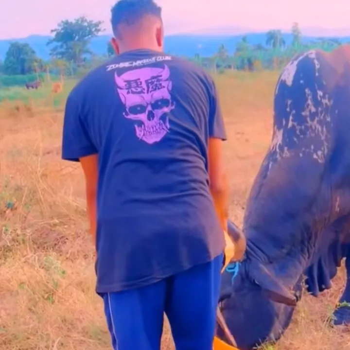 annoutravay00🇭🇹🇭🇹