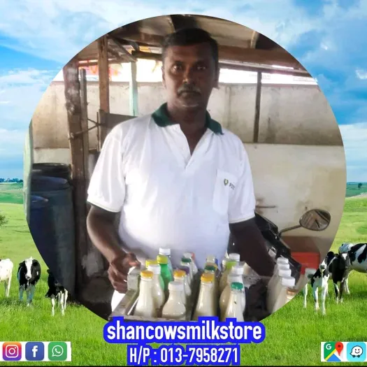 SHAN COWS MILK STORE