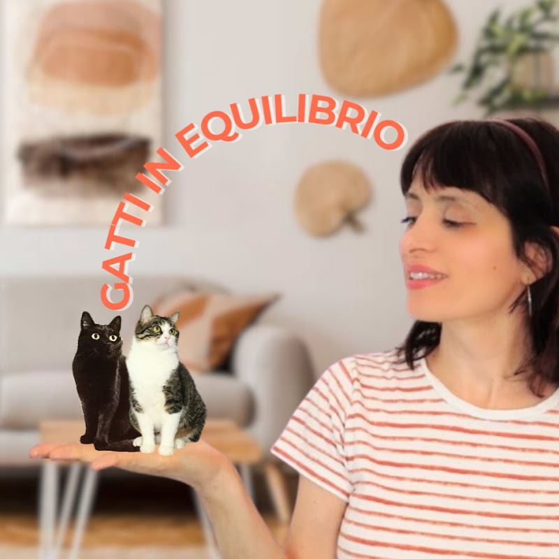Gatti in Equilibrio