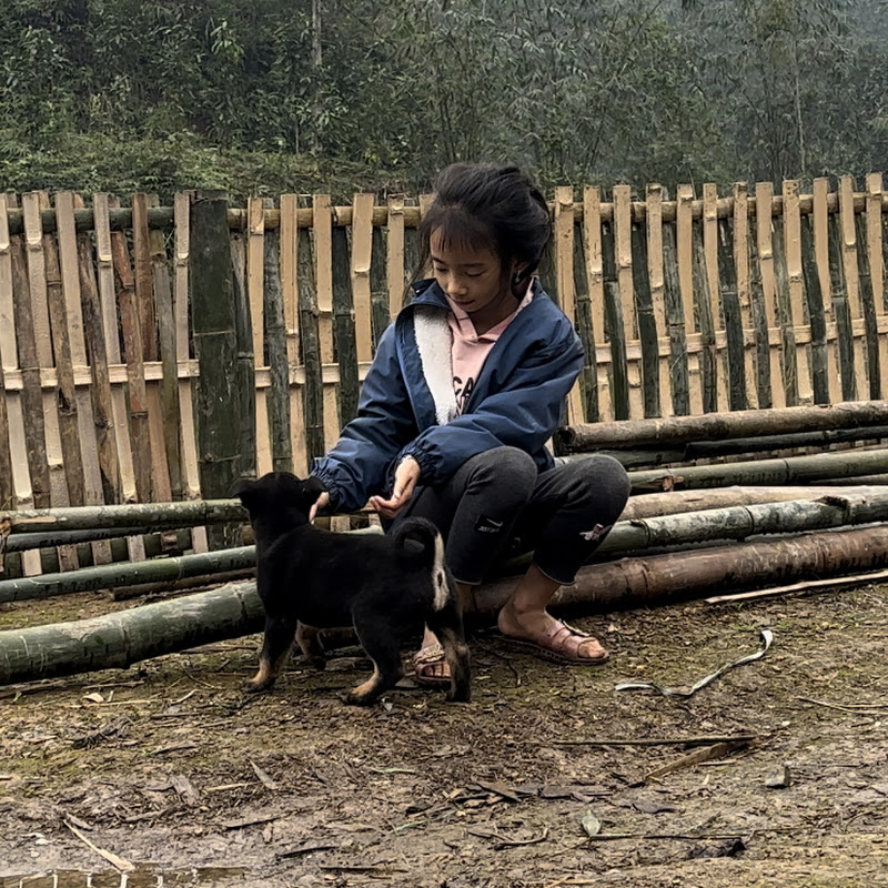 Ngoc Han's daily life