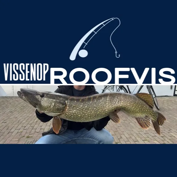 vissenoproofvis