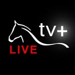 Peruvian Horse Tv+