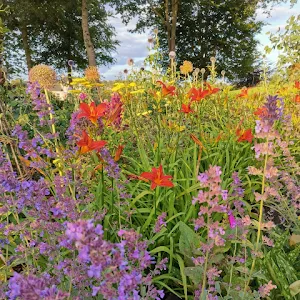 Yew_Cottage_Garden