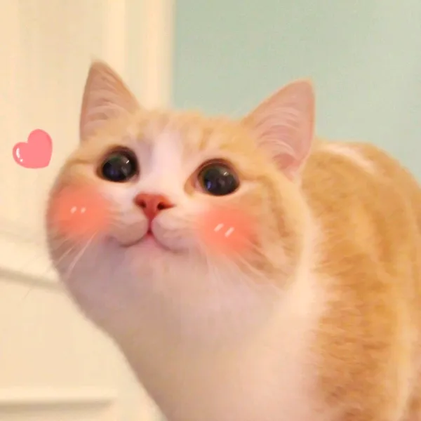 ukcat