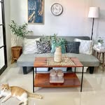 Homedecor DayliLife & 🐈 🐈‍⬛ ྀི 🐾