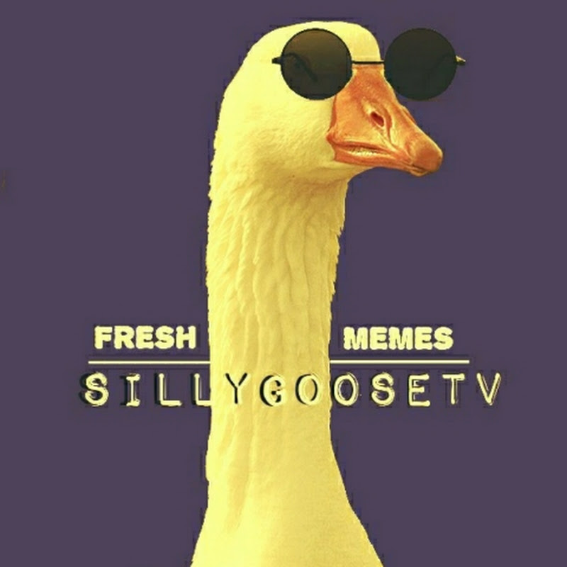 The Silly Goose
