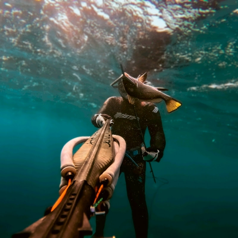 Dionisis Anagnostopoulos