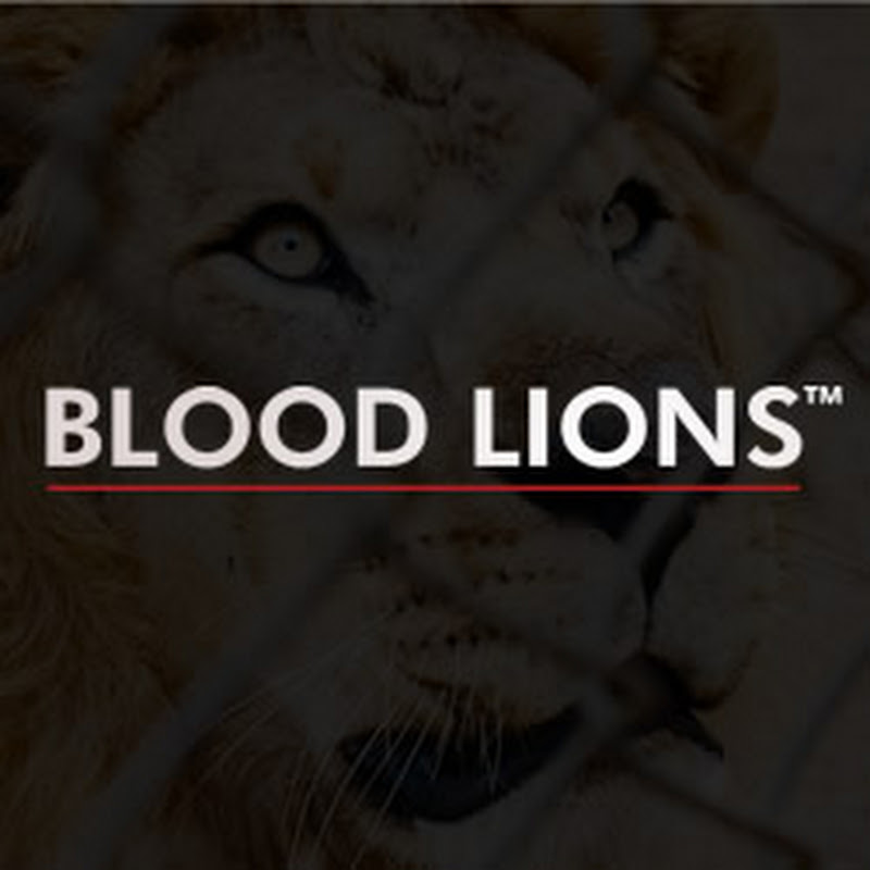 Blood Lions Official