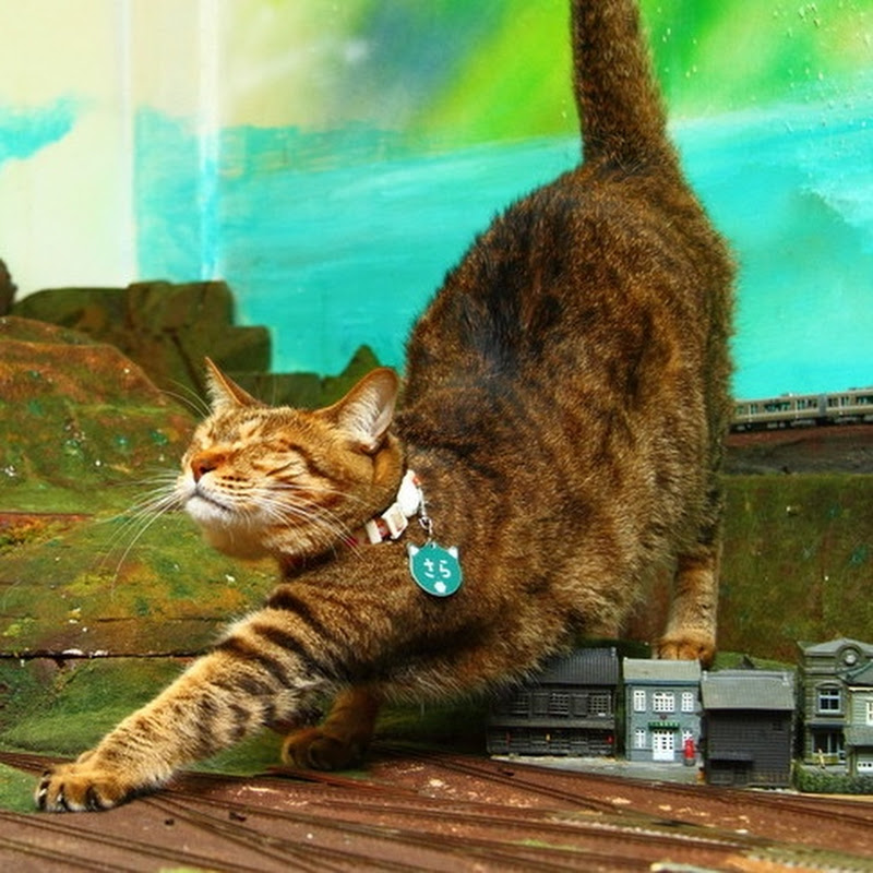 Diorama restaurant ジオラマ食堂