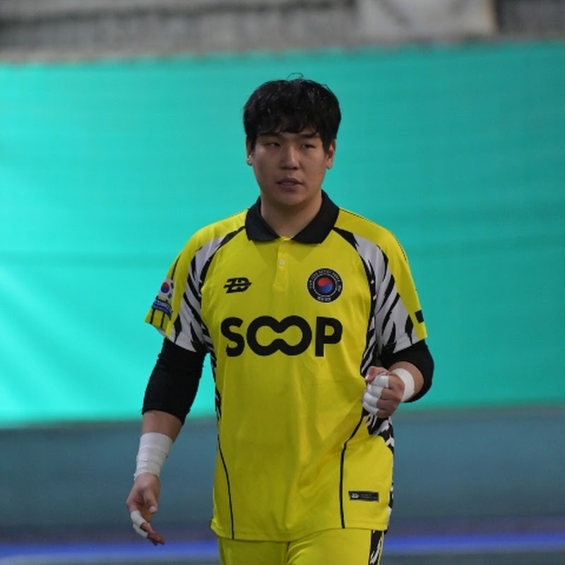 막아라 진섭바오