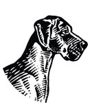 Terbodore Coffee Roasters