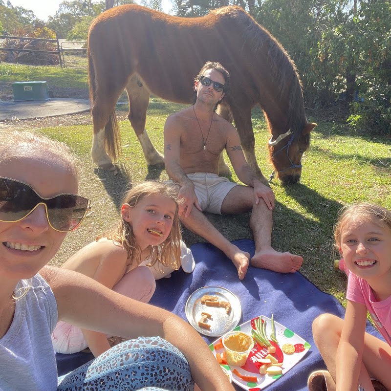Crazy Homeschool Family 