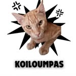 Koiloumbas Fam 🐈