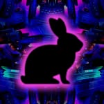 Hunny Bunny