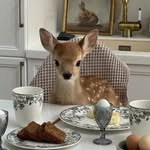 guliette maribel ˖ . ݁𝜗𝜚.†