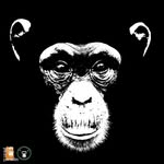 Chimpanzee Conservation Center
