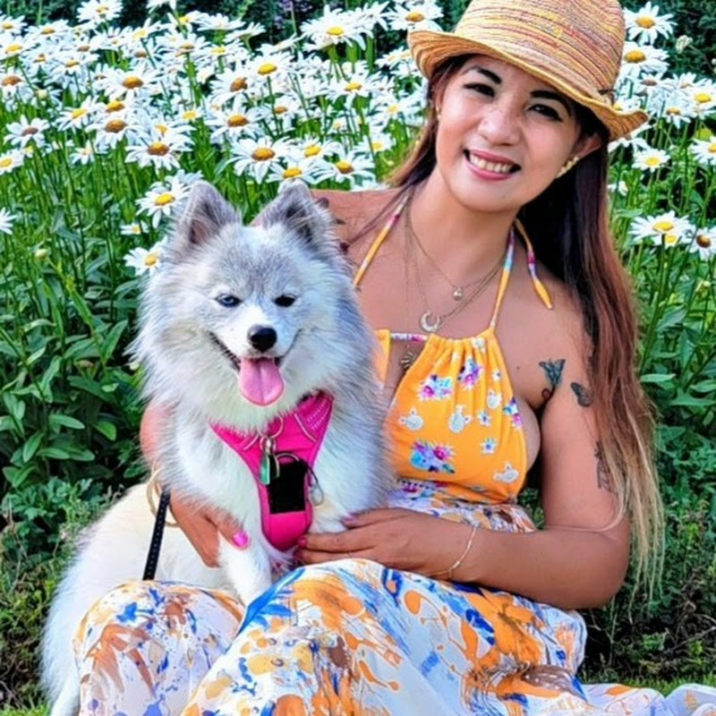 PomskyDog_Luna
