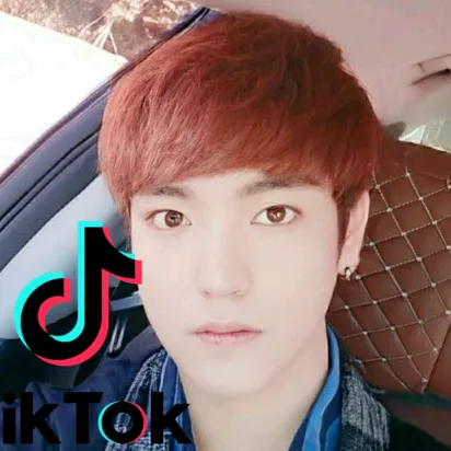 🌳  🌟 🌟 용스 🌟 🌟 🌳