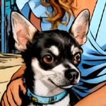 kusko 💙 Happy Dog