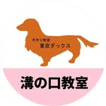 手作り教室東京ダックス 溝の口教室