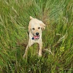 MARLEY