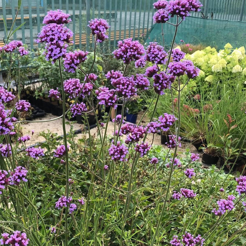 TheGardenShopIreland