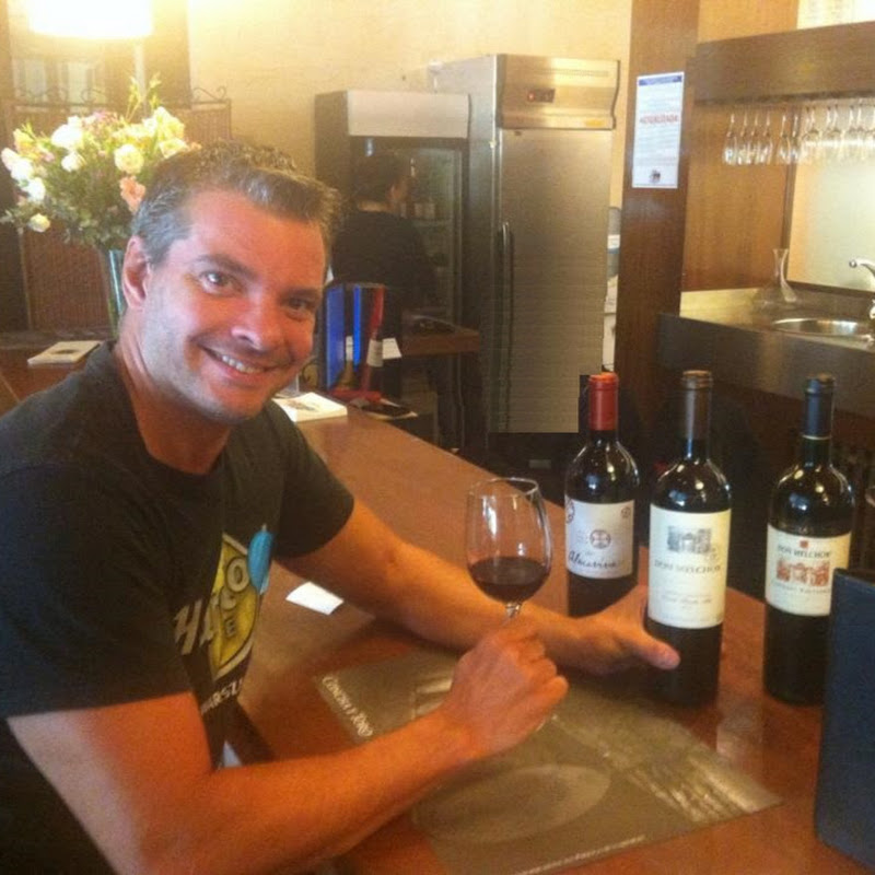 Degustando Vinhos