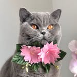 TITA