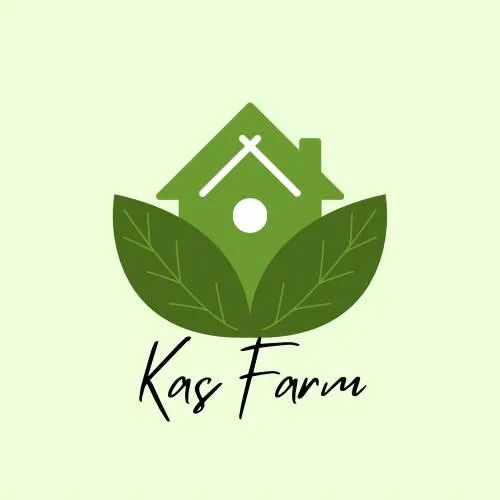 Kas Farm