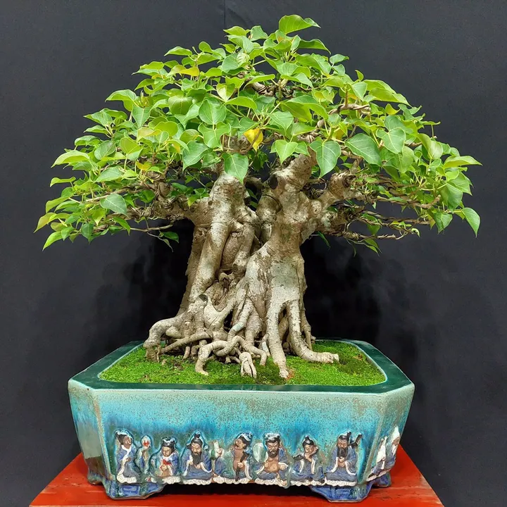 tree planting ideas