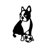 soccer junky