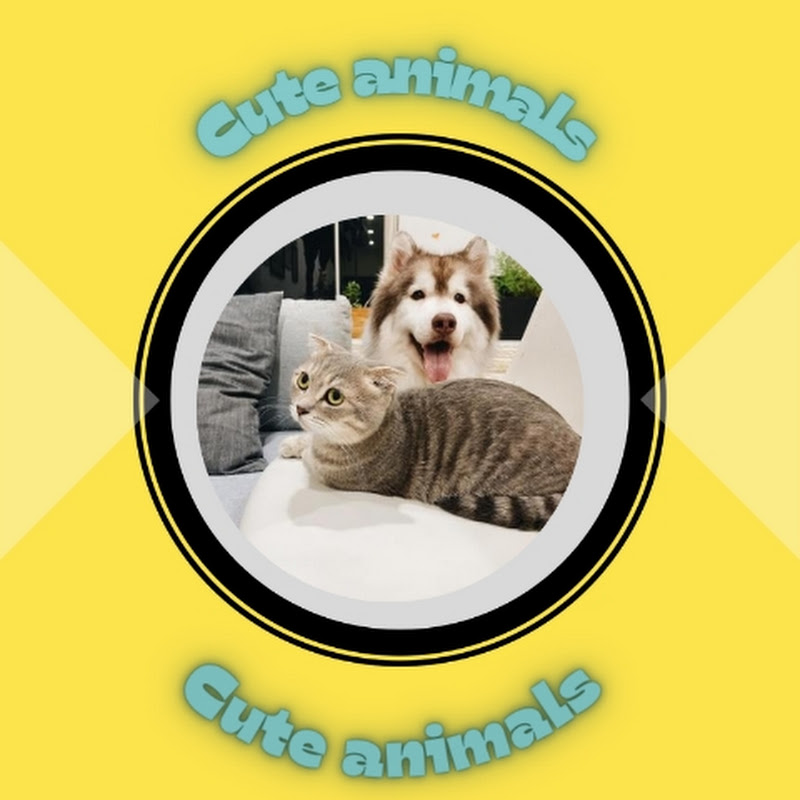 Cute animals