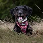 𝙍𝙖𝙘𝙝𝙚𝙡 & 𝙎𝙖𝙡𝙡𝙮